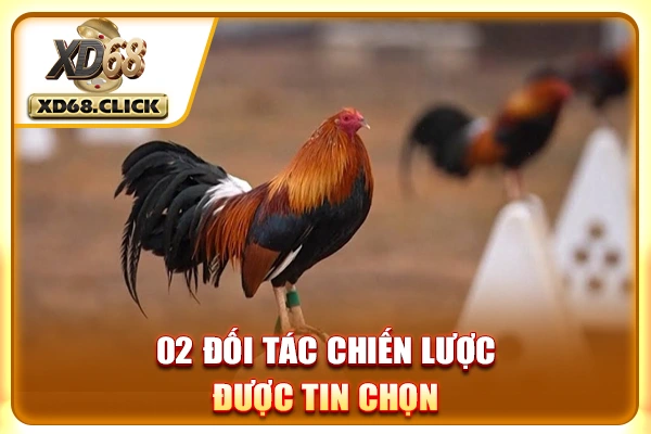 02 đối tác chiến lược được tin chọn