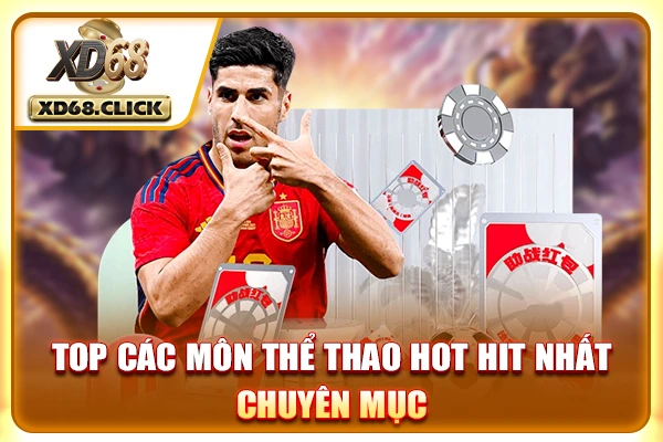 Top các môn thể thao hot hit nhất chuyên mục